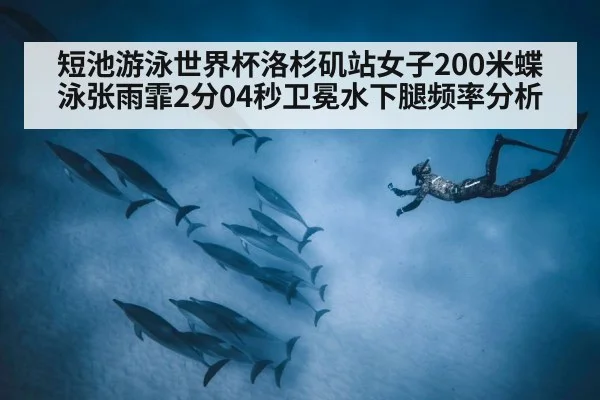短池游泳世界杯洛杉矶站女子200米蝶泳张雨霏2分04秒卫冕水下腿频率分析